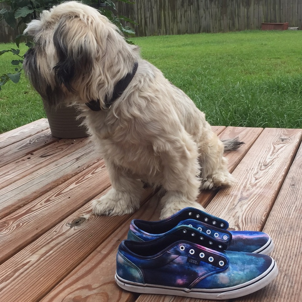 Galaxy Vans!!
